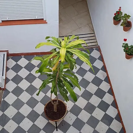 Διαμέρισμα La Alborea *