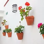 Apartment La Alborea *