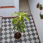 Apartment La Alborea *