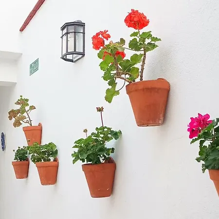 Appartement La Alborea *