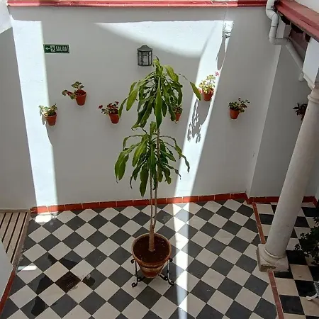 Apartamento La Alborea Jerez de la Frontera