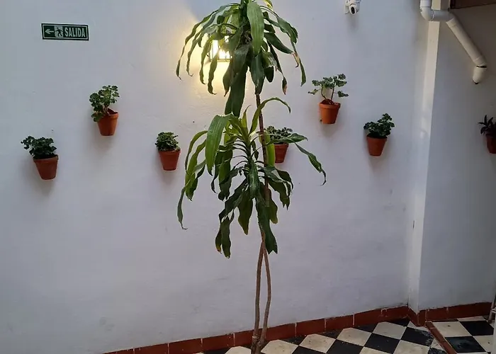 Appartement La Alborea *