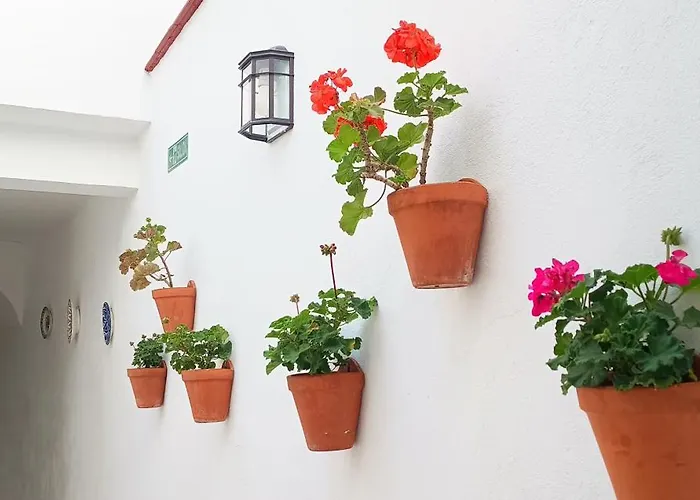 Appartement La Alborea *